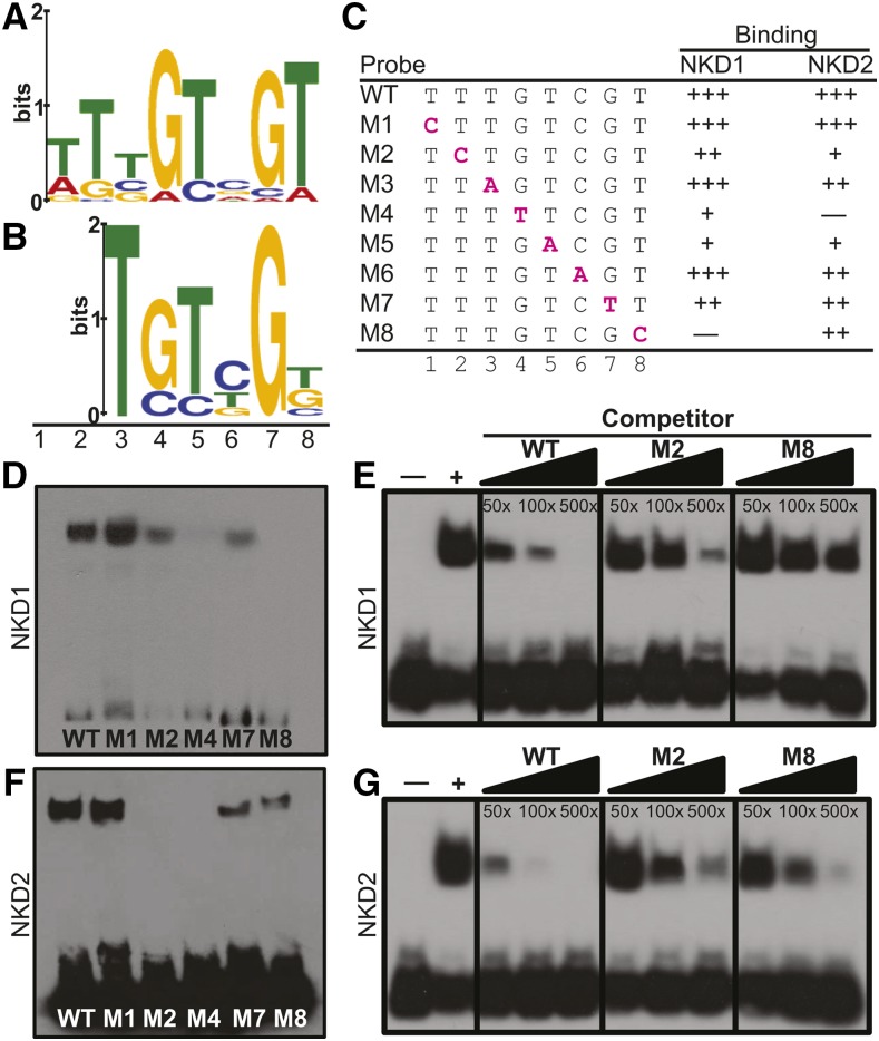 Figure 5.