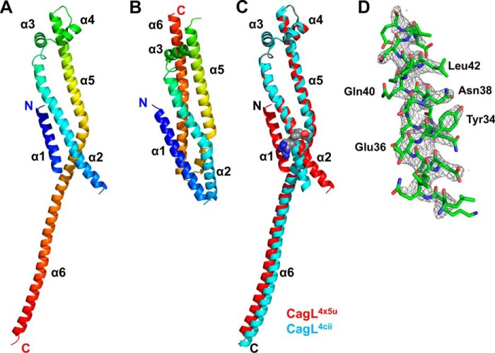 FIGURE 1.