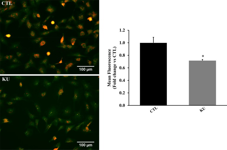 Fig. 9.