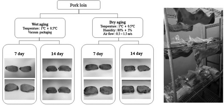 Fig. 1