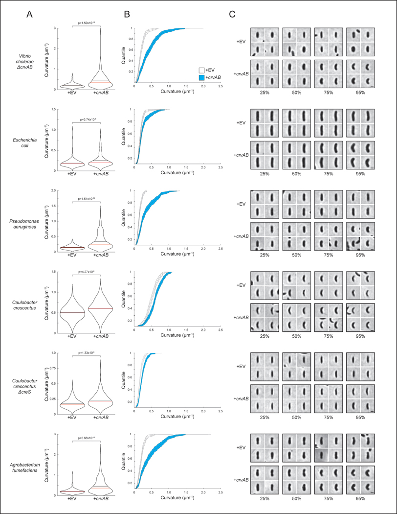 Extended Data Fig. 2