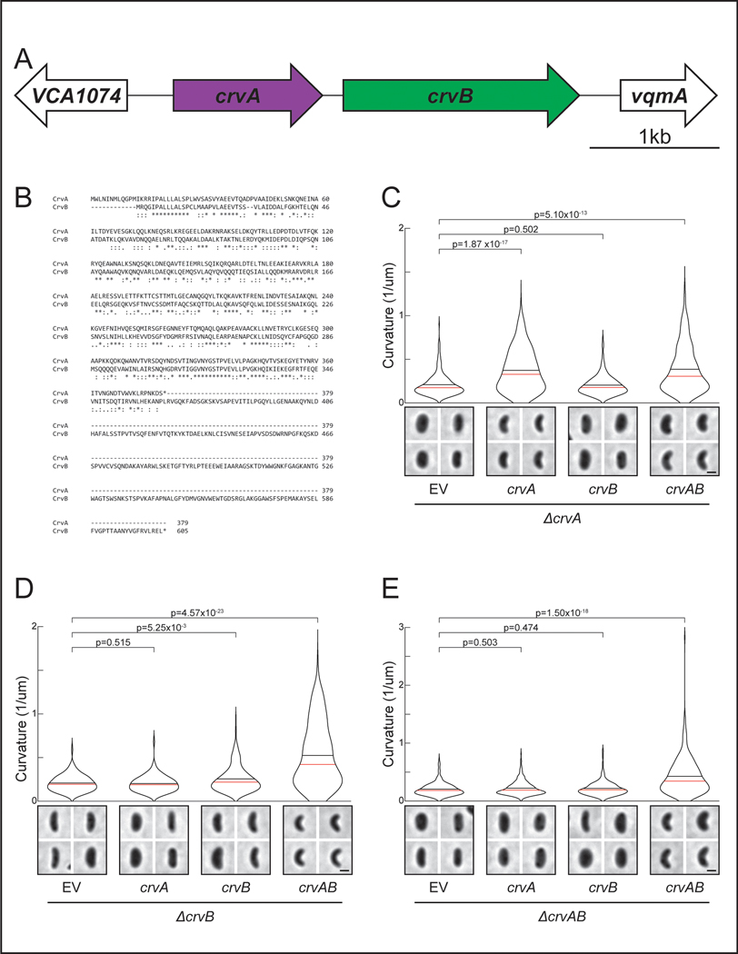 Extended Data Fig. 1