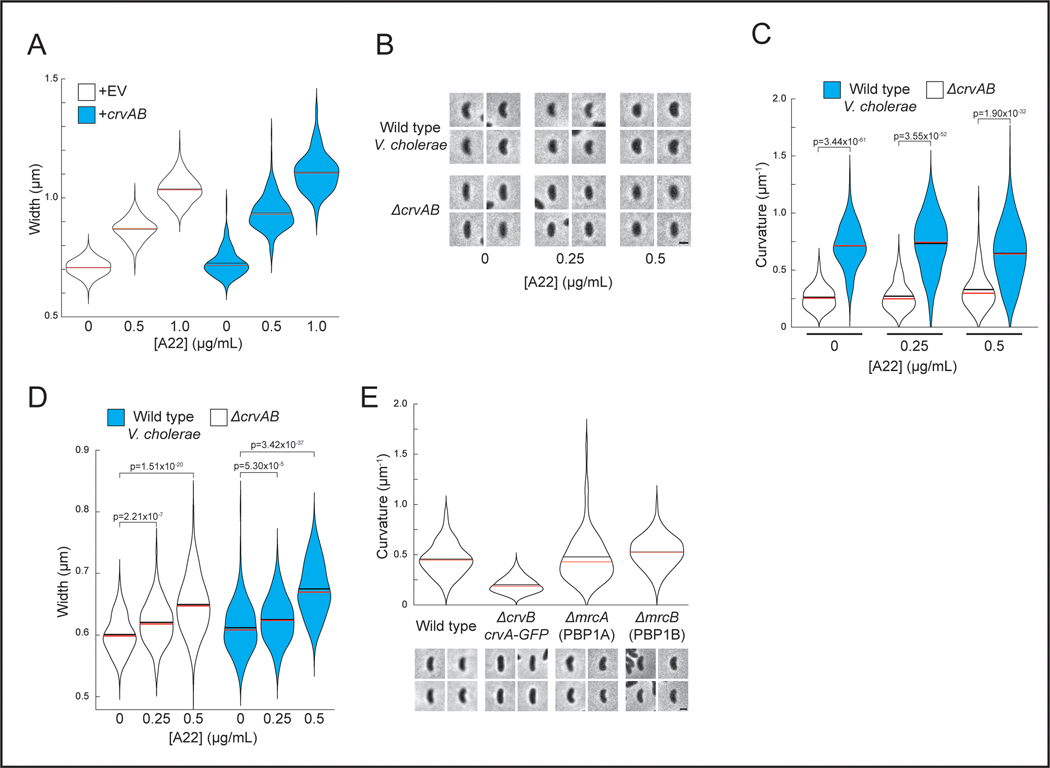 Extended Data Fig. 3