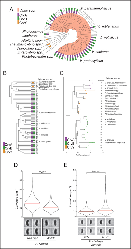 Extended Data Fig. 6