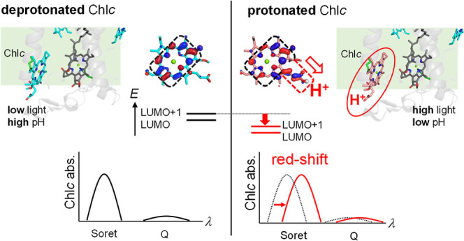 graphic file with name jp2c07232_0010.jpg