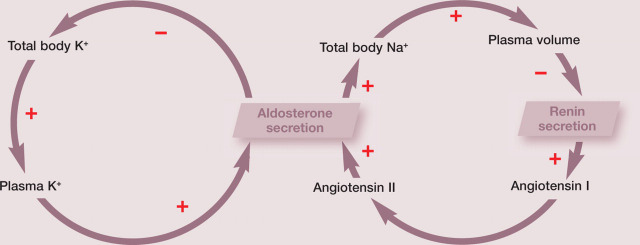 graphic file with name 10.1016_j.jfms.2011.07.017-fig8.jpg