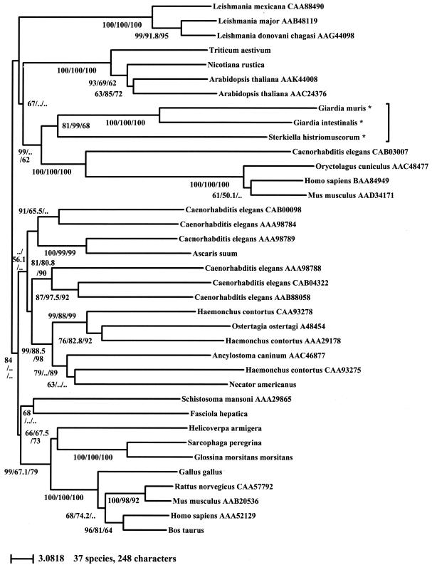 FIG. 8.