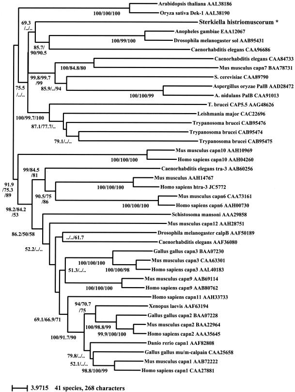 FIG. 9.