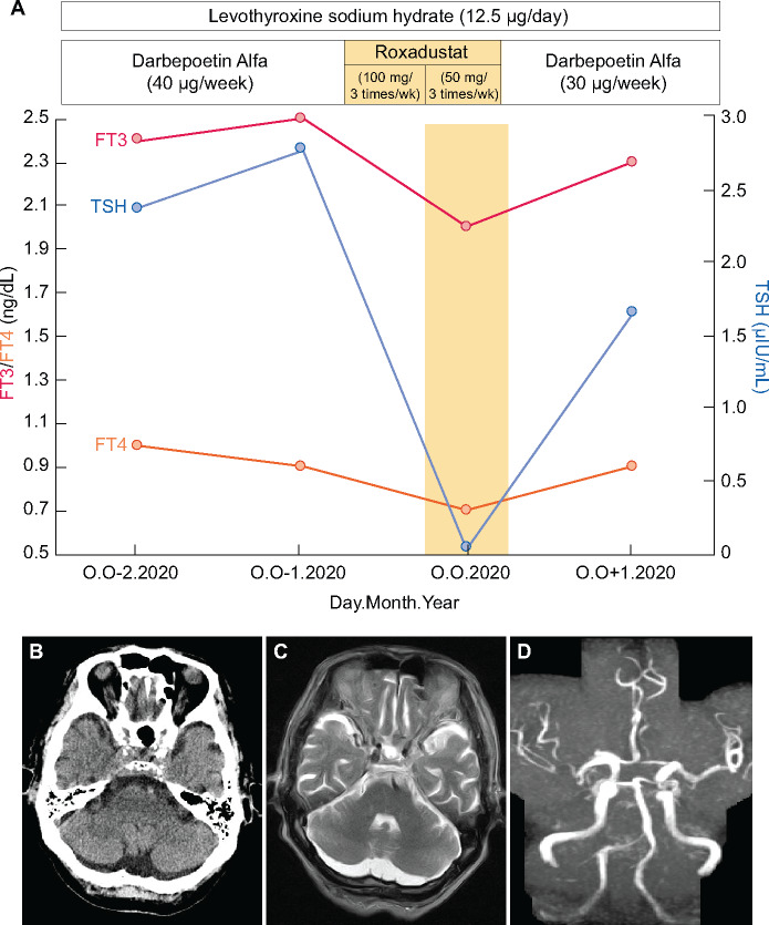 FIGURE 1: