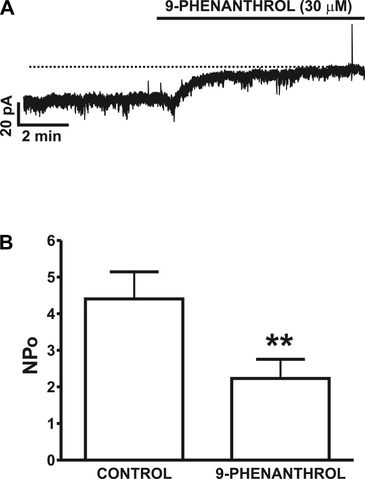 Fig. 3.