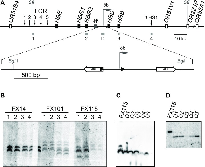 Fig 3