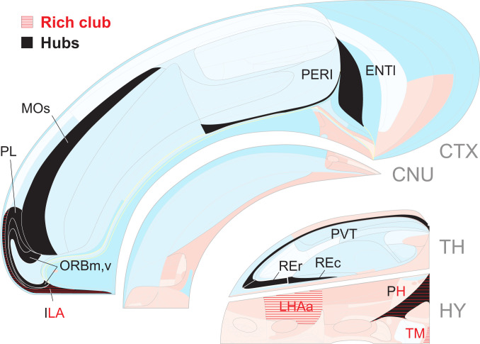 Fig. 9.