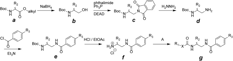 Fig. 2. Overall reaction pathway for synthesis of tolprocarb derivatives. Alkyl=ethyl or methyl; Boc=tert-butoxycarbonyl; DEAD=diethyl azodicarboxylate; X=N (urea), O (carbamate), C (amide) or S (thiocarbamate); A=chloroformates, p-nitrophenylcarbonates, O-(p-nitrophenyl)thiocarbonates, isocyanates, isothiocyanates, carbamoyl chlorides, acid chlorides, acid anhydrides or mixed acid anhydrides.