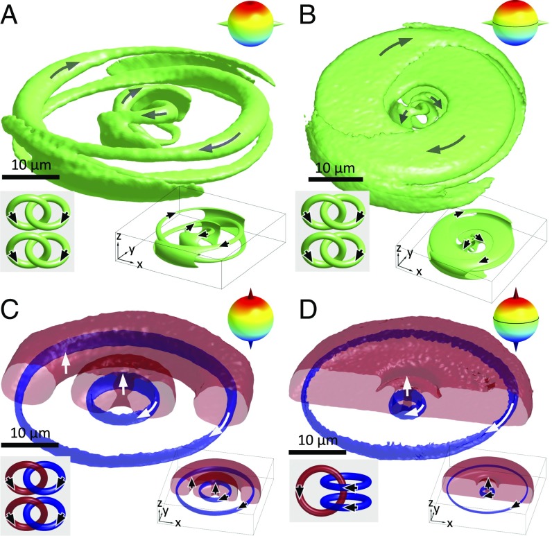 Fig. 2.