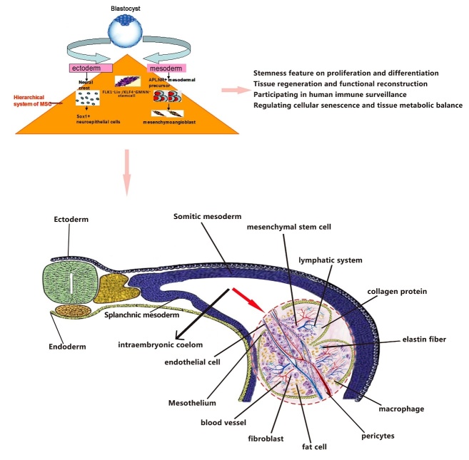 Figure 10.