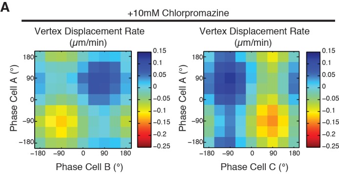 Figure 5—figure supplement 1.