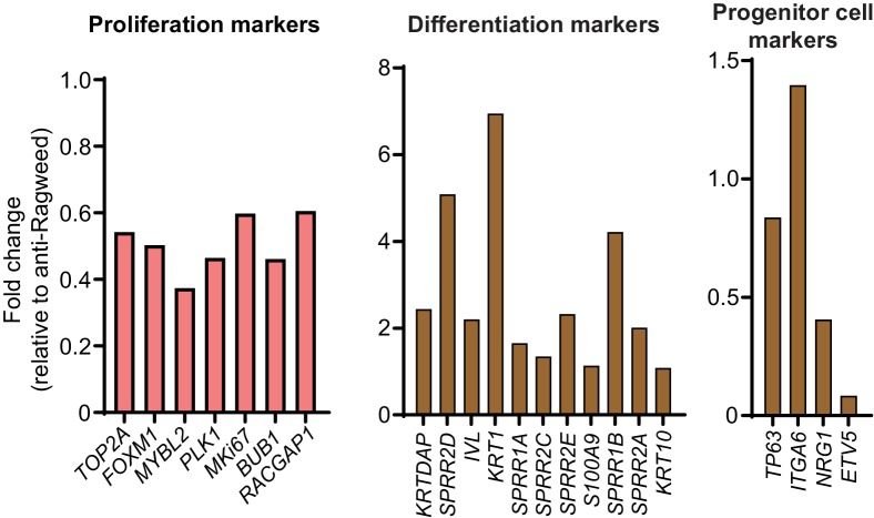 Figure 4—figure supplement 2.