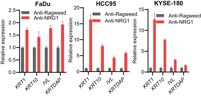 Figure 4—figure supplement 3.