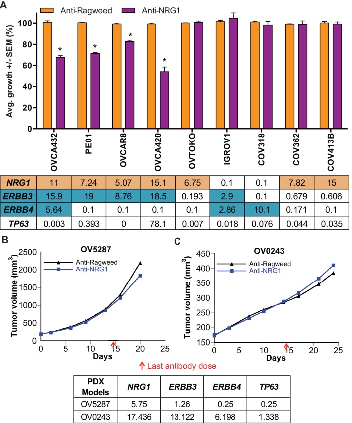 Figure 3—figure supplement 2.