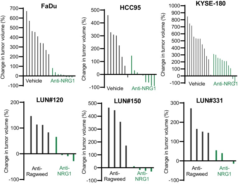 Figure 3—figure supplement 1.