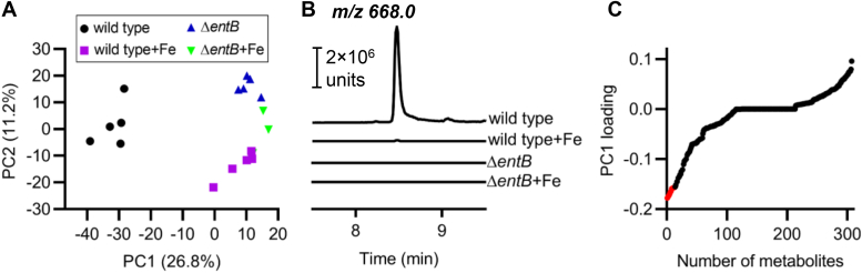 Figure 1