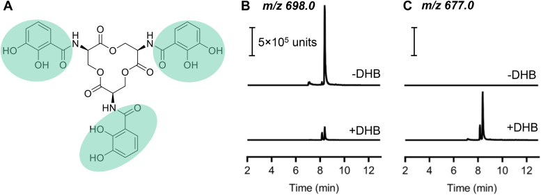 Figure 6