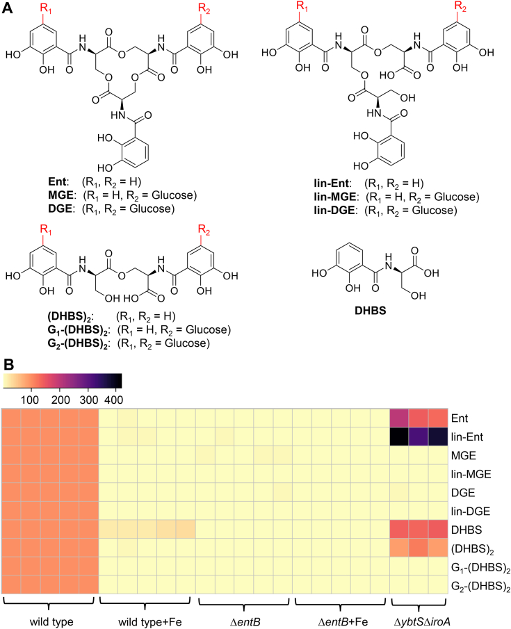 Figure 2