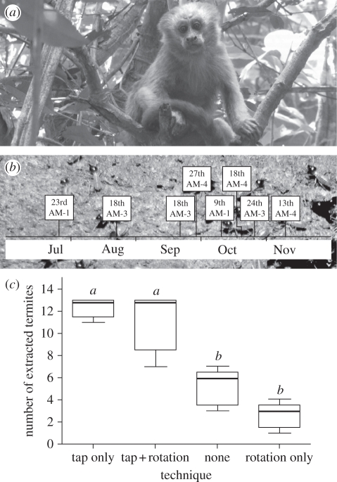 Figure 1.