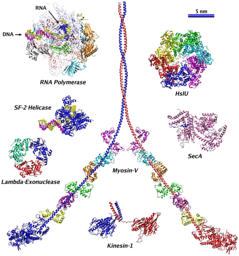 Fig. 1