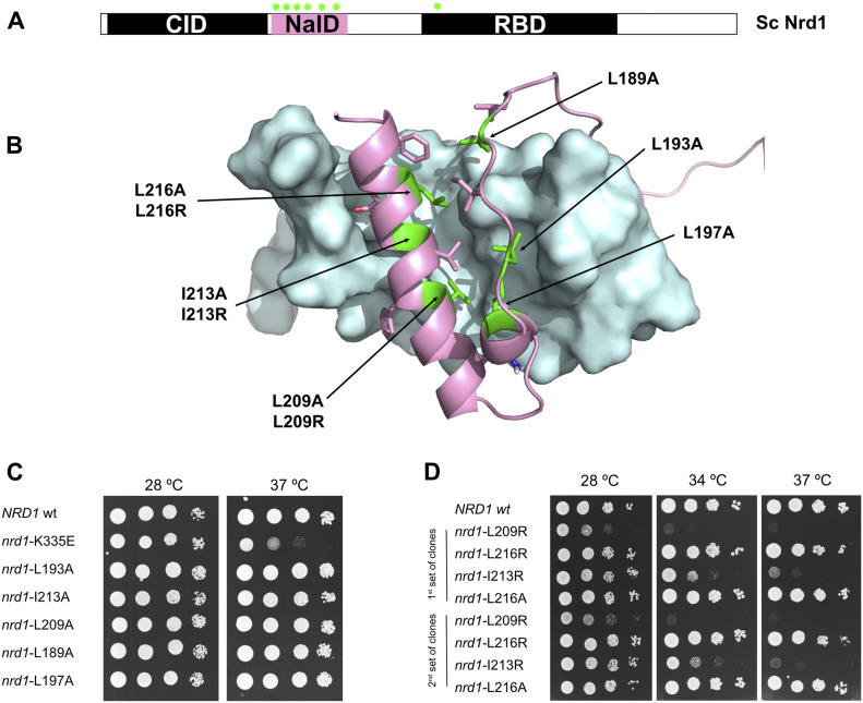 Figure 4.