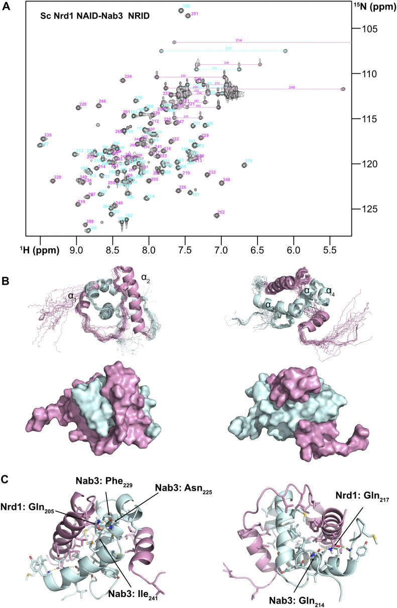 Figure 3.