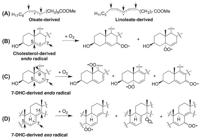 Scheme 5