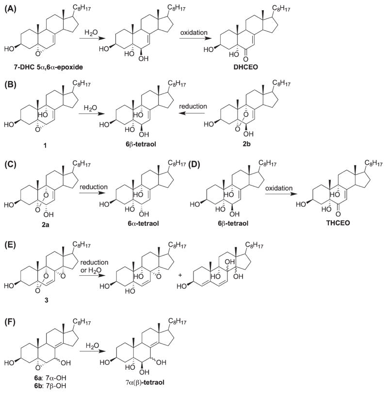 Scheme 10