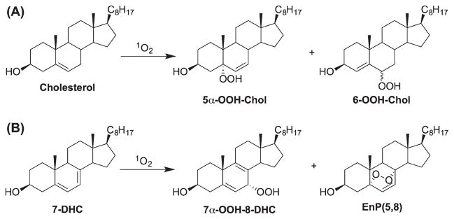 Scheme 8