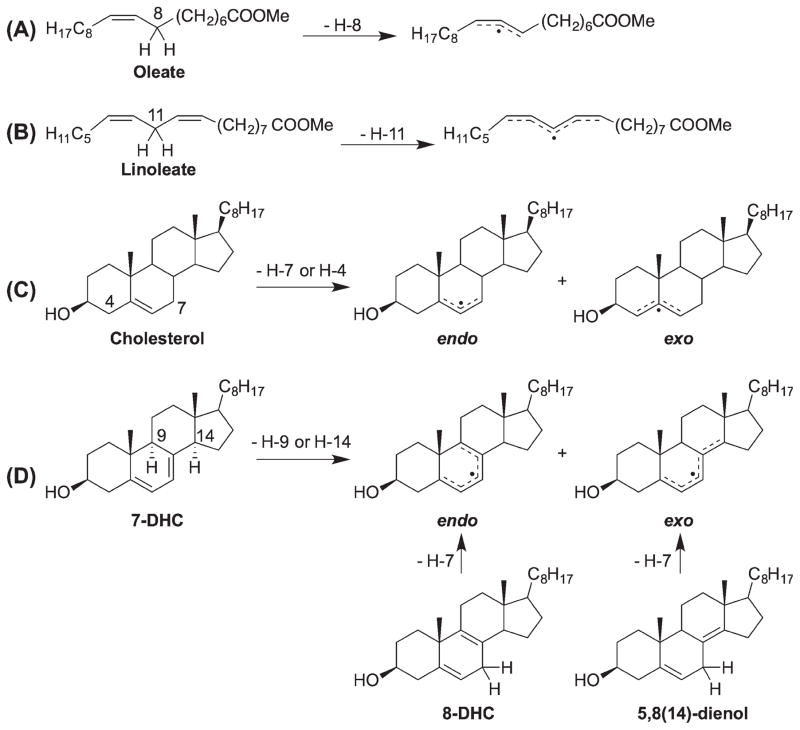 Scheme 3