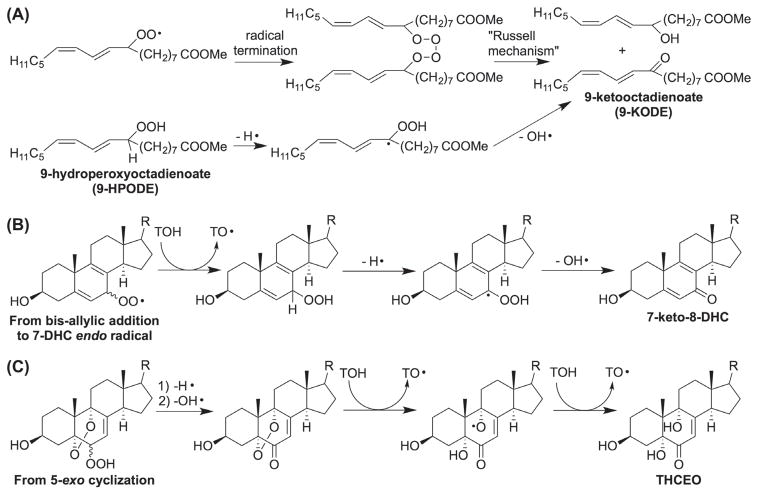 Scheme 7