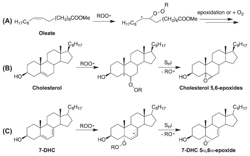 Scheme 4