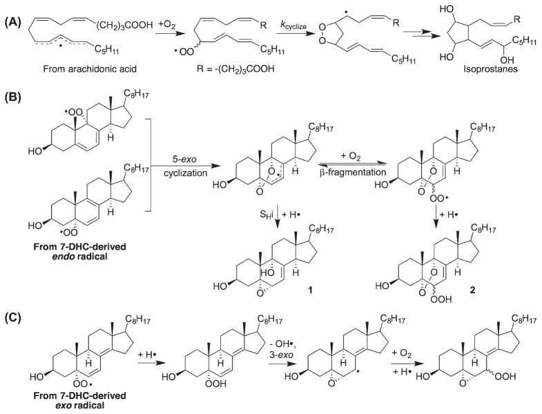 Scheme 6