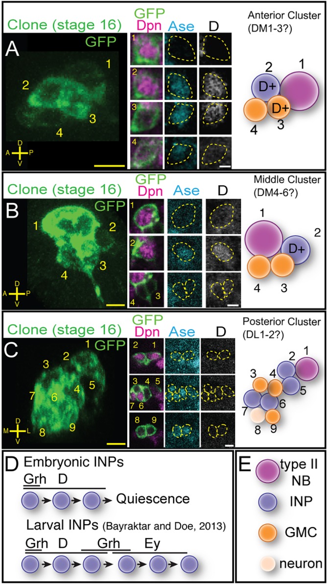 Fig. 6.