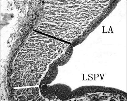 Figure 3)