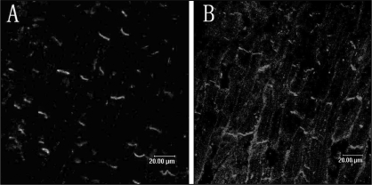 Figure 4)