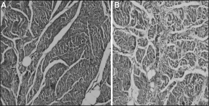 Figure 7)