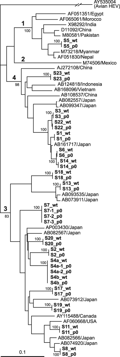 FIG. 2.