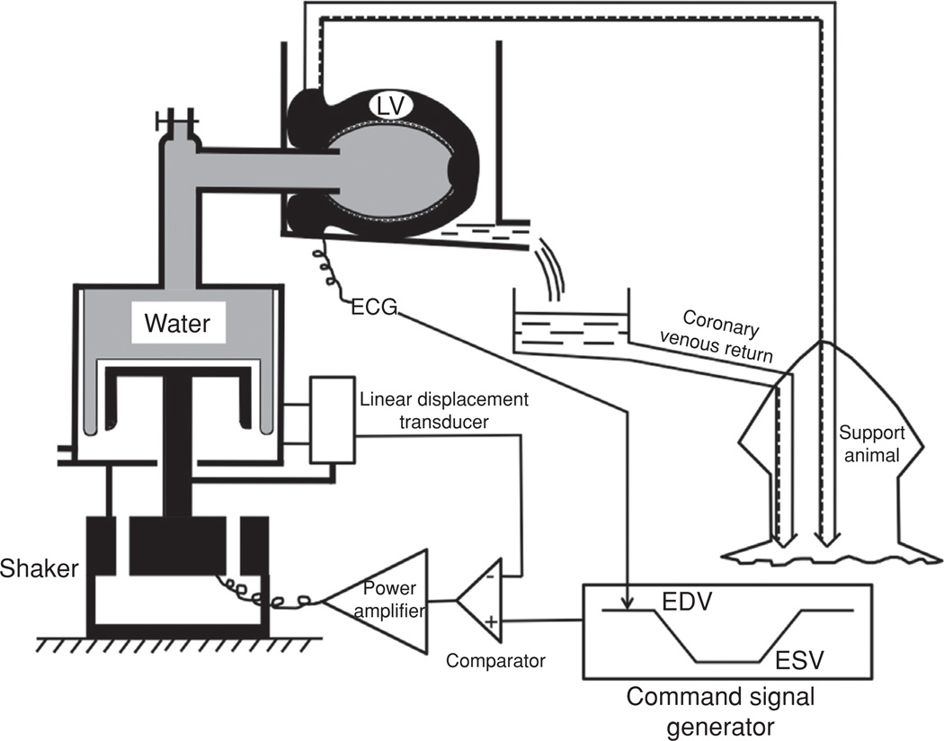 Figure 11