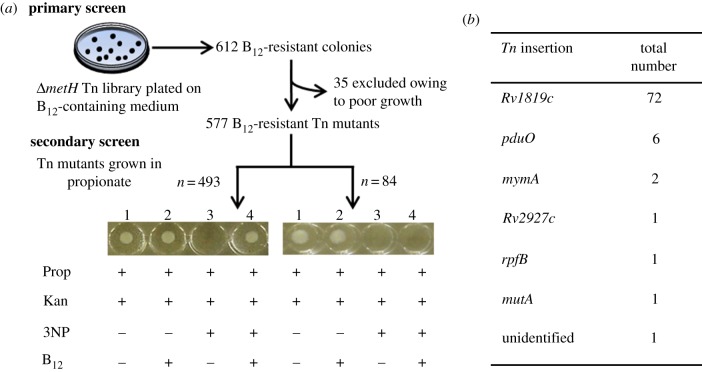 Figure 2.