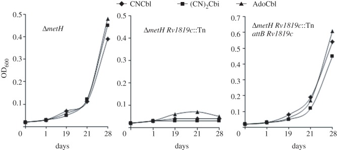 Figure 3.