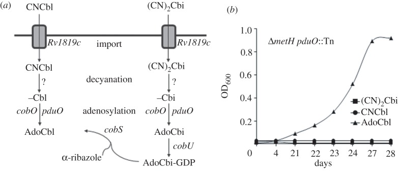 Figure 6.