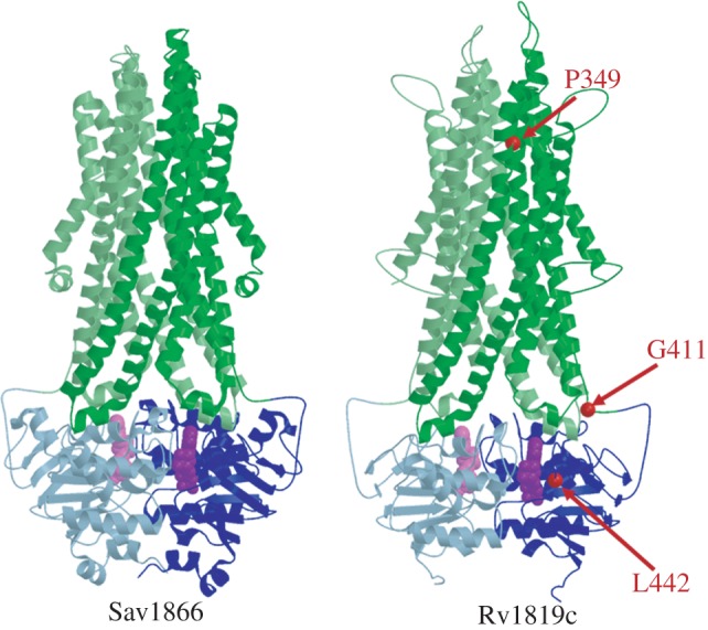 Figure 5.