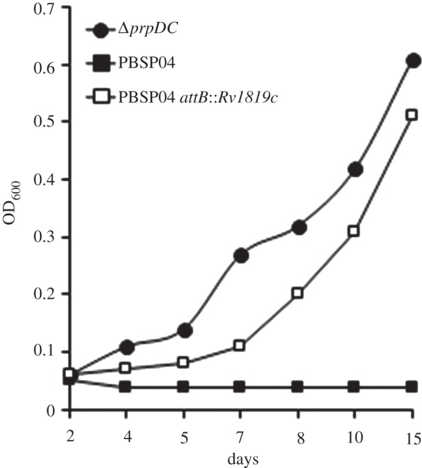 Figure 4.