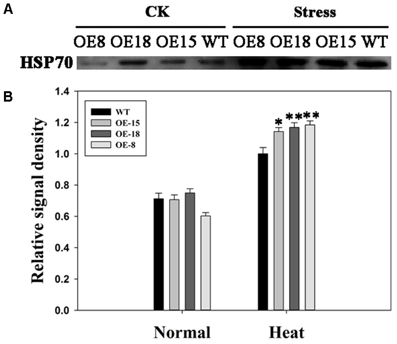 FIGURE 9